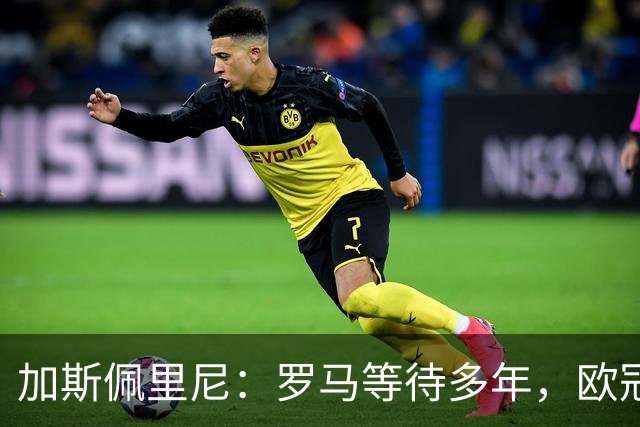 加斯佩里尼：罗马等待多年，欧冠要给皇家马德里制造困难