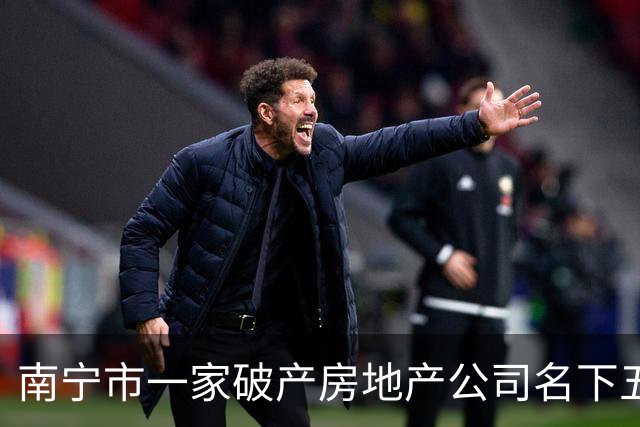 南宁市一家破产房地产公司名下五千多万应收款拍卖，1100万成交