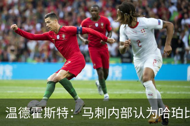 温德霍斯特：马刺内部认为哈珀比福克斯和卡斯尔更强